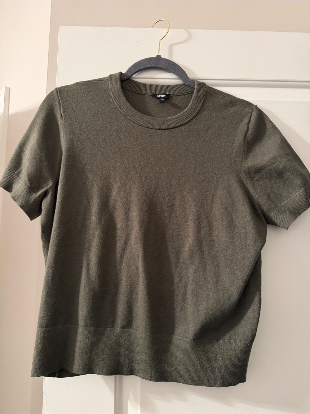 Express Olive Short-Sleeve Crew Knit Top